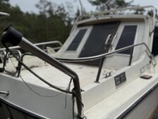 Bella 652