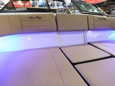 Sea Ray 190 SPX