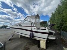 Bayliner Muu malli 2450 SUNBR