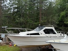 Bella 652