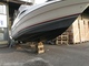 Bayliner Ciera 2155 Malli 2255