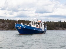 Teräsvene Troolari Saunalla