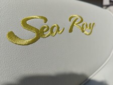 Sea Ray 245 Weekender