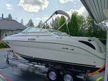 Sea Ray 245 Weekender