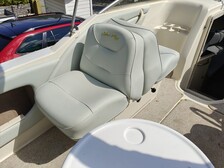 Sea Ray 245 Weekender