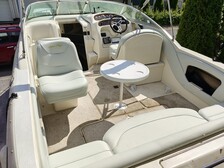 Sea Ray 245 Weekender