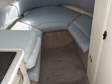 Sea Ray 245 Weekender