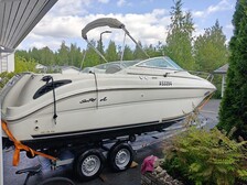 Sea Ray 245 Weekender