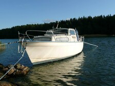 Albin 25