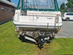 Sea Ray 220 DA