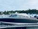 Flipper 760 DC