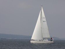 Finngulf 41
