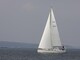 Finngulf 41