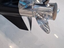 Silver Raptor