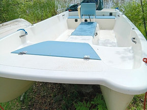 Suomi 475 Cat