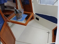 Albatross Flying 870