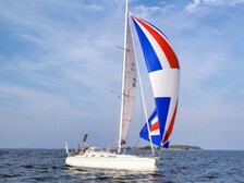 Finngulf 41