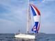 Finngulf 41