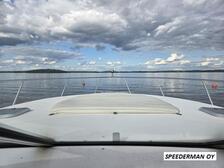 Rinker 342 Fiesta Vee