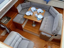 Albatross Flying 870