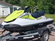 Kawasaki 160 STX