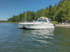 Sea Ray 310 Sundancer