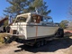 Tristan 770