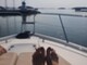 Sealine SC 35