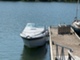 Chris-Craft Muu malli Amerosport