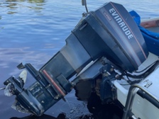 Evinrude 50 hv