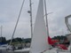 Albin 78 Cirrus