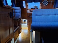 Albatross Flying 870