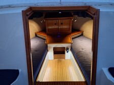 Albatross Flying 870