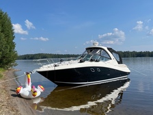 Sea Ray 335 Sundancer