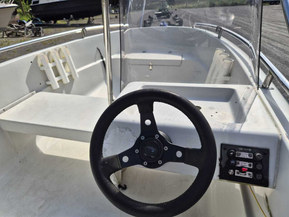 Yamarin 415 Big Fish