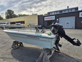 Yamarin 415 Big Fish