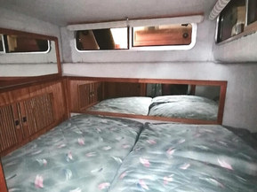 Sea Ray 250 Sundancer