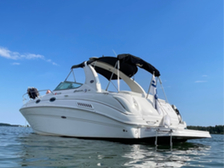Sea Ray 315 Sundancer