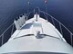 Bayliner 288