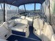 Bayliner 245 Ciera