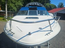 Sea Ray 220 DA