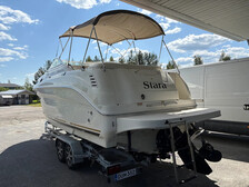Sea Ray 