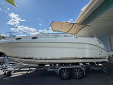 Sea Ray 