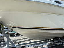 Sea Ray 