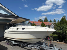 Sea Ray 
