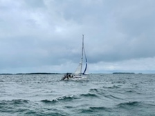 Maestro 31 cr