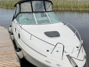 Sea Ray 255 Sundancer