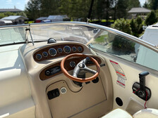 Sea Ray 