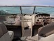 Sea Ray