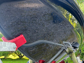 Sea-Doo RXP-X 260 RS